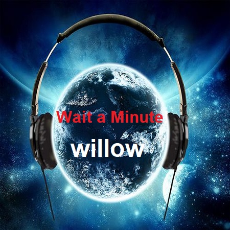 دانلود آهنگ خارجی wait a minute از willow